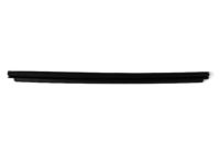 Mopar 55112373AJ WEATHERSTRIP-Front Door Belt Inner