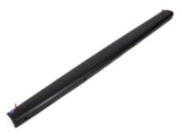 Mopar 55112047AC Spoiler-TAILGATE