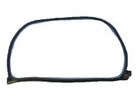 Mopar 68045968AA WEATHERSTRIP-Front Door Mounted