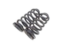 Mopar 68285755AA Rear Coil Spring