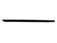 Mopar 55276958AB WEATHERSTRIP-Door Belt