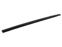 Mopar 4806138AB WEATHERSTRIP-Front Door Belt