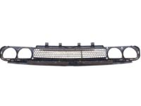 Mopar 68043388AA Grille-Radiator