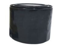 Mopar 2AML00899A Filter-Engine Oil