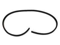 Mopar 5074641AC WEATHERSTRIP-LIFTGATE Opening