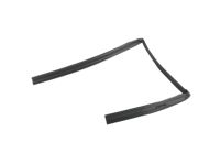 Mopar 55399188AG WEATHERSTRIP-Rear Door Glass Run Mopar 55399188AG WEATHERSTRIP-Rear Door Glass Run