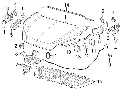 2022 Ram ProMaster City Hood & Components Diagram