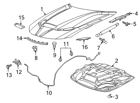 2023 Dodge Charger Hood & Components Diagram 1