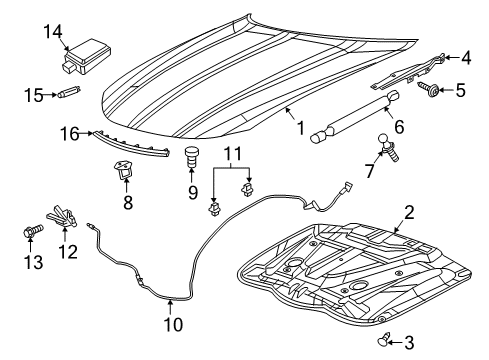 2023 Dodge Charger Hood & Components Diagram 3