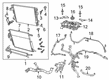 Diagram for 2022 Ram 1500 Radiator Hose - 68268584AE