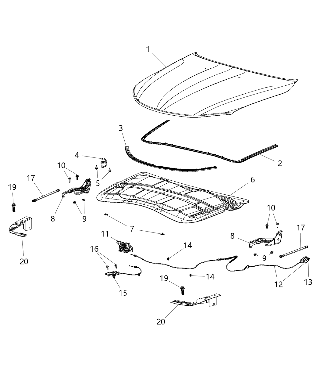 Mopar 68144970AA Weatherstrip-Hood