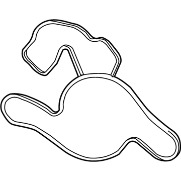 Mopar 4893149AA Gasket-Water Pump