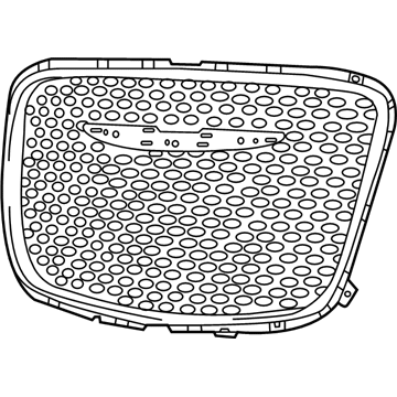 2020 Chrysler 300 Grille - 5SW17SZUAE