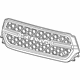 Mopar 68404850AA Grille-Radiator