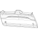 Mopar 6LN55TX7AD Panel-LIFTGATE Trim Lower