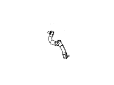 Mopar 68416834AA Hose-COOLANT