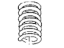 Mopar 52039064 Front Coil Spring